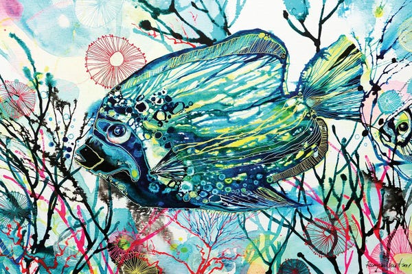 Irina Rumyantseva: Tropical Fish by Irina Rumyantseva