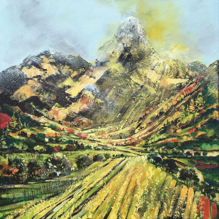 Mountainside Pasture by Irina Rumyantseva wall art