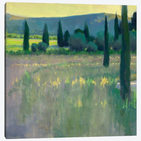 Evening At The Chateau Canvas Print #IRO2} by Ian Roberts Canvas Artwork