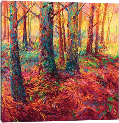 Redwood Fall Canvas Art Print - Forest Art