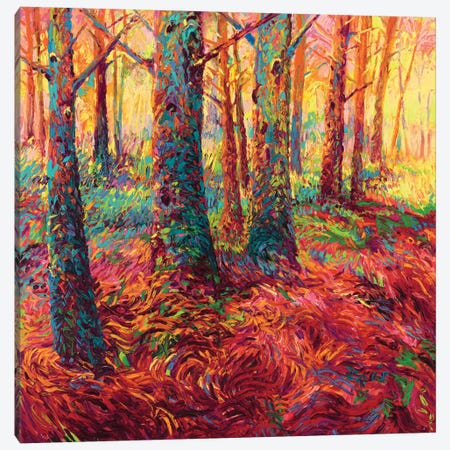 Redwood Fall Canvas Print #IRS102} by Iris Scott Canvas Art Print