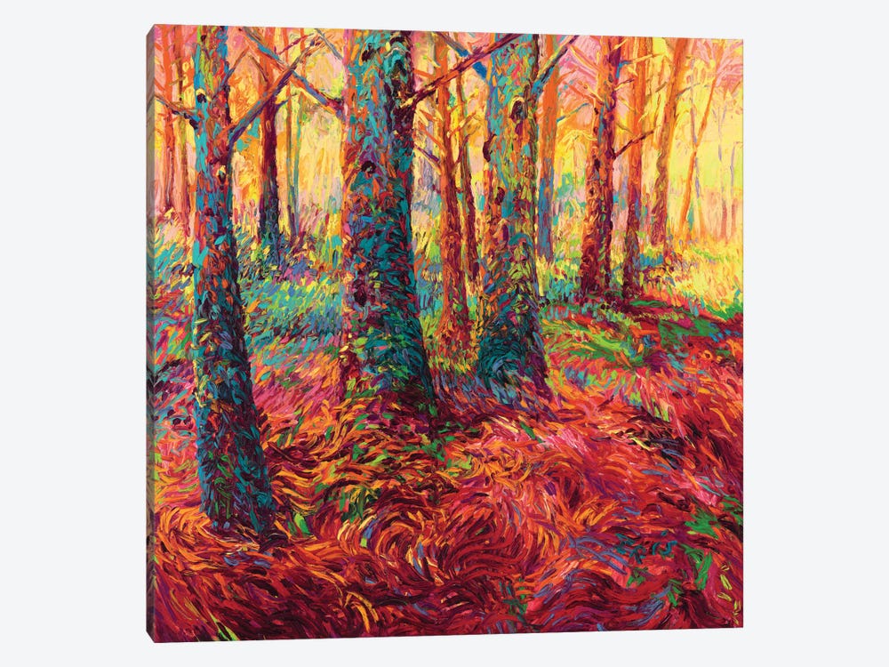 Redwood Fall by Iris Scott 1-piece Canvas Art Print
