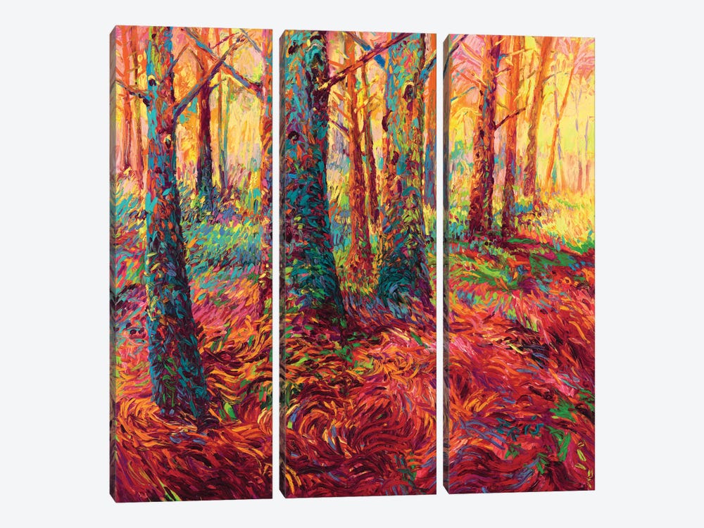 Redwood Fall by Iris Scott 3-piece Canvas Art Print