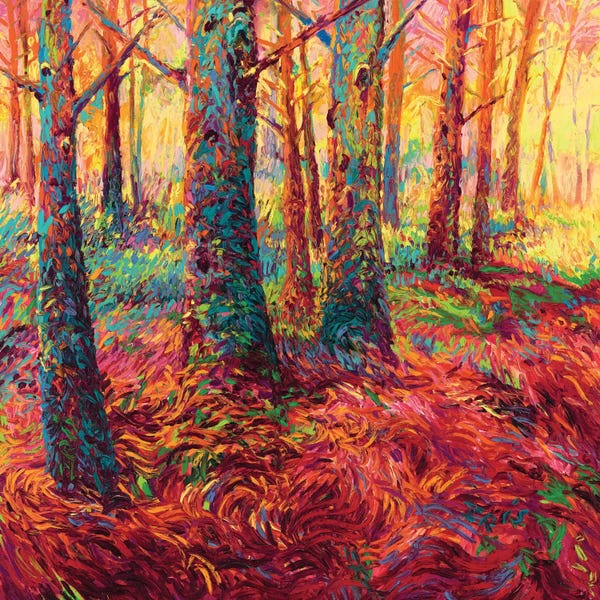 Enchanted Forests: Redwood Fall by Iris Scott