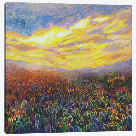 Cacti Sunrise Canvas Print #IRS104} by Iris Scott Canvas Wall Art