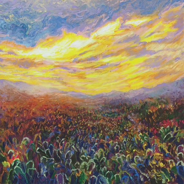 Gardens & Floral Landscapes: Cacti Sunrise by Iris Scott