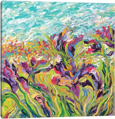 Irises I Canvas Art Print - Field, Grassland & Meadow Art