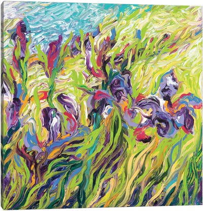 Irises II Canvas Art Print - Artists Like Monet