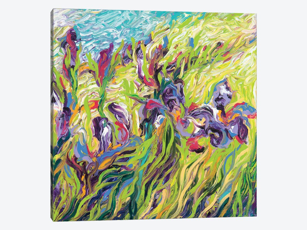 Irises II by Iris Scott 1-piece Canvas Artwork