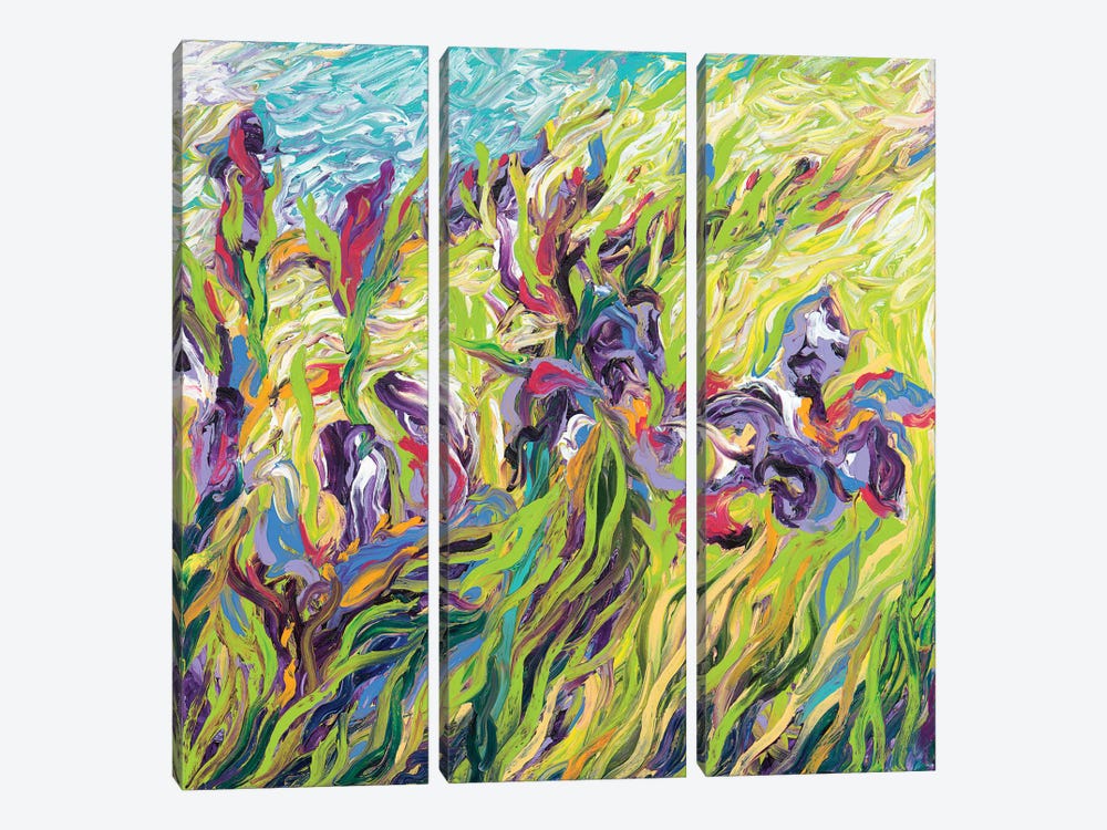 Irises II by Iris Scott 3-piece Canvas Art