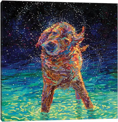 Moonlight Swim Canvas Art Print - Pet Obsessed