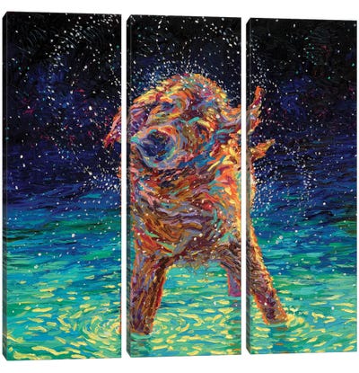 Moonlight Swim Canvas Art Print - 3-Piece Fine Art