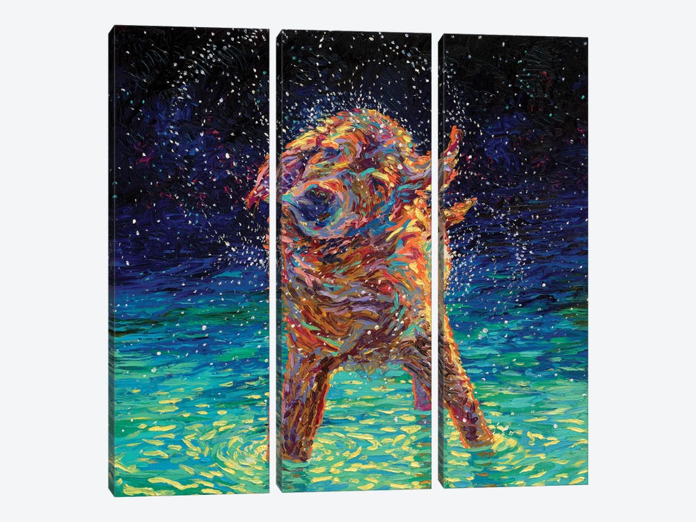 Moonlight Swim 3-piece Canvas Artwork