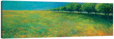 Orchard's Edge Canvas Art Print - Field, Grassland & Meadow Art