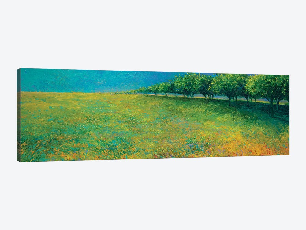 Orchard's Edge by Iris Scott 1-piece Canvas Print