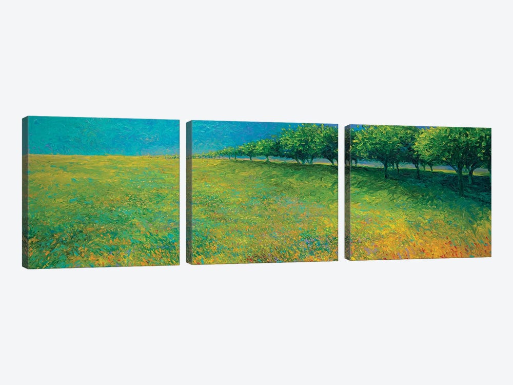 Orchard's Edge by Iris Scott 3-piece Canvas Art Print