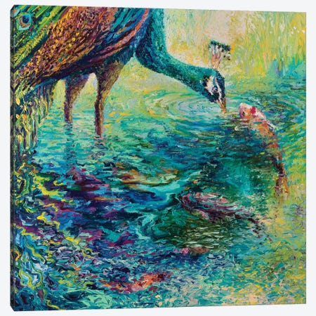 Peacock Diptych Panel II Canvas Print #IRS124} by Iris Scott Canvas Art
