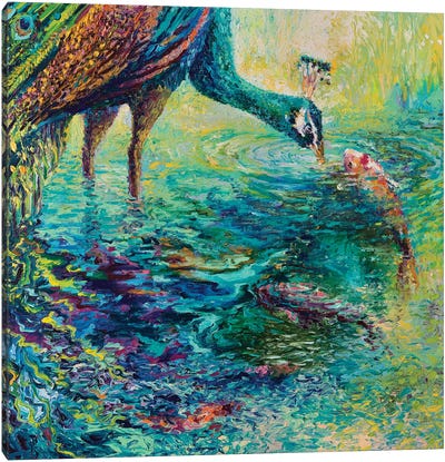 Peacock Diptych Panel II Canvas Art Print - Current Day Impressionism Art
