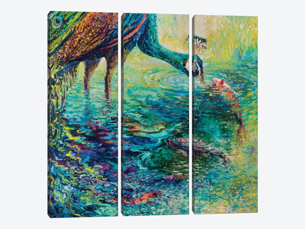 Peacock Diptych Panel II by Iris Scott 3-piece Canvas Print