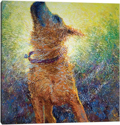 Phoebe's Reign Canvas Art Print - Iris Scott - Shakin' Dogs
