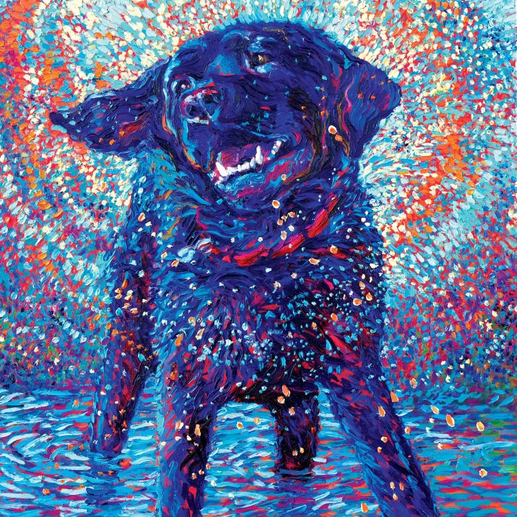 Canines & Color by Iris Scott wall art