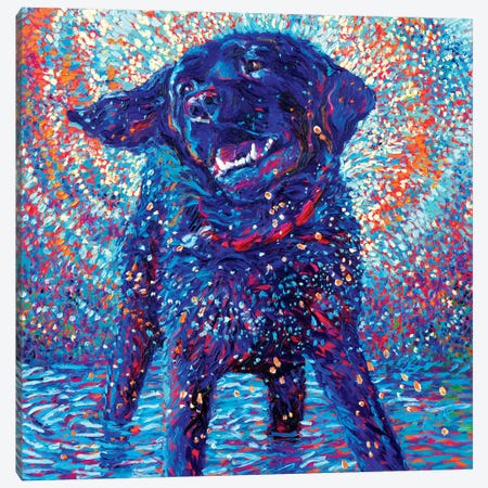 Canines & Color Canvas Print #IRS13} by Iris Scott Canvas Artwork