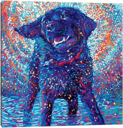 Canines & Color Canvas Art Print - Finger Painting Art