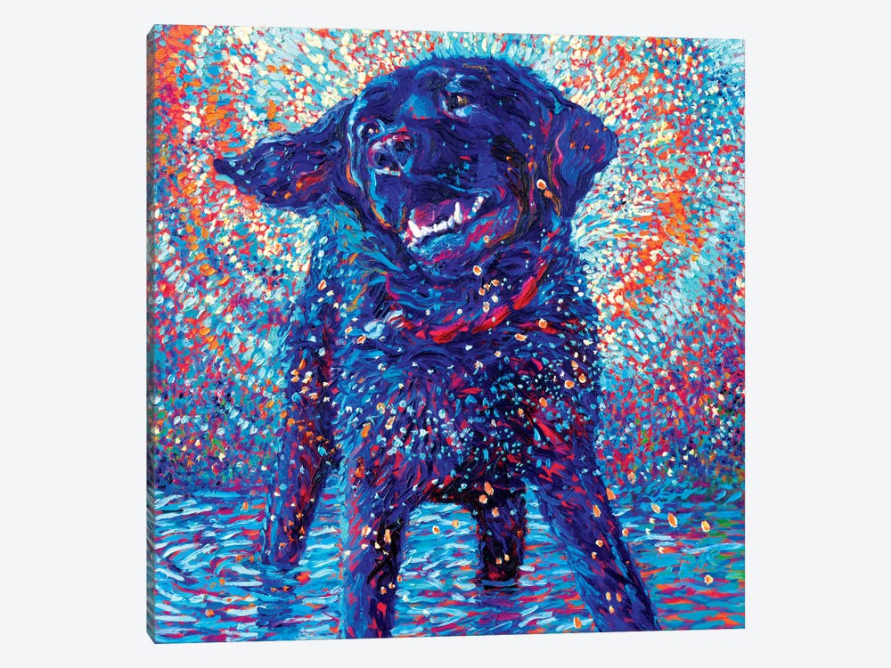 Canines & Color by Iris Scott 1-piece Canvas Wall Art