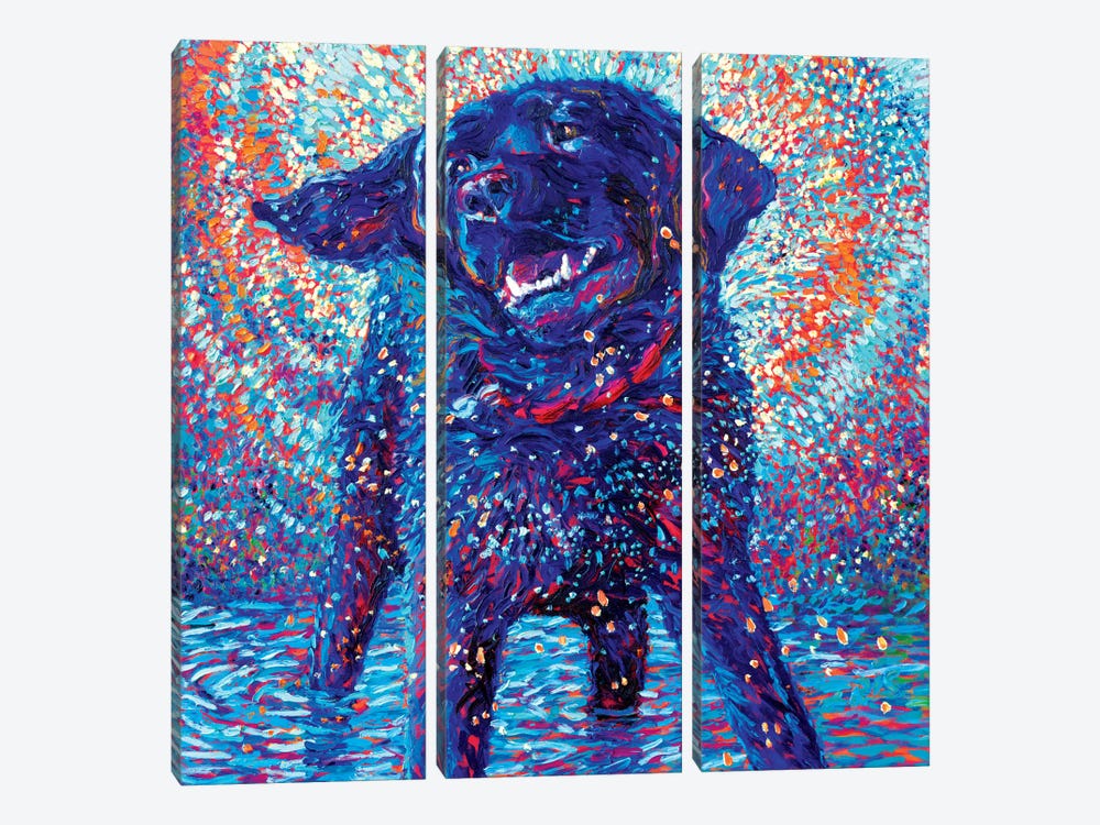 Canines & Color 3-piece Canvas Art