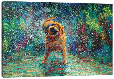 Shakin' Jake Canvas Art Print - Dog Art
