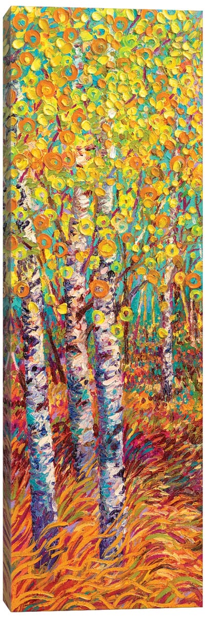 Candyland Canvas Art Print - Aspen and Birch Trees