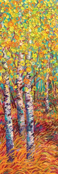 Aspen Trees | Birch Trees: Candyland by Iris Scott