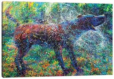 Canis Major Canvas Art Print - Current Day Impressionism Art