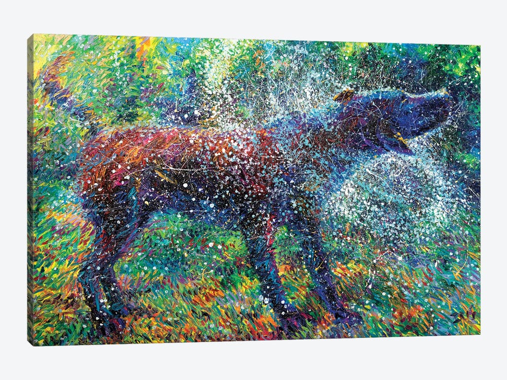 Canis Major by Iris Scott 1-piece Canvas Wall Art