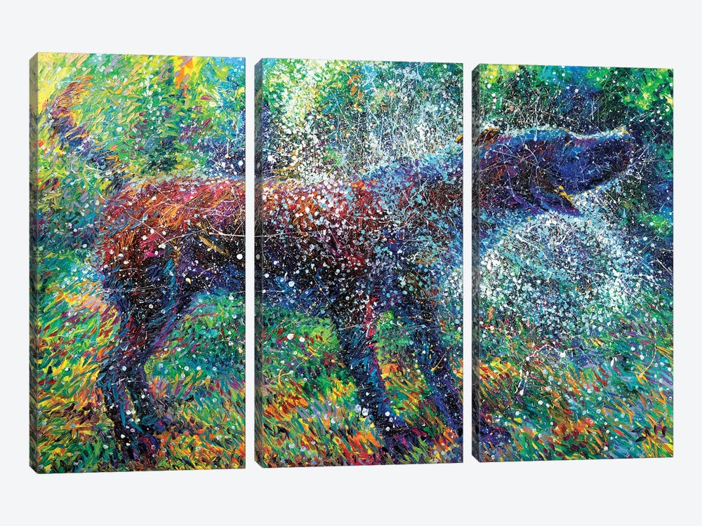 Canis Major by Iris Scott 3-piece Canvas Art