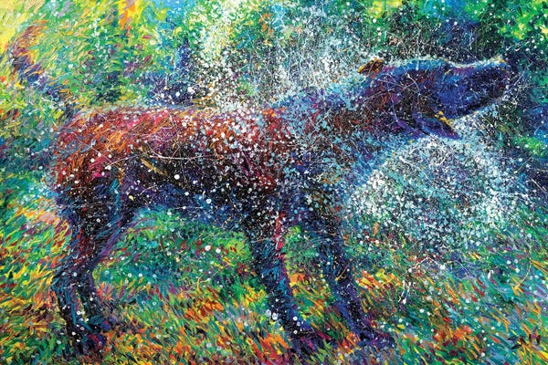 Labrador Retrievers: Canis Major by Iris Scott