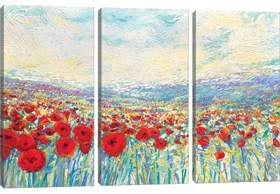 Poppies Of Oz Canvas Art Print - 3-Piece Floral & Botanical Art