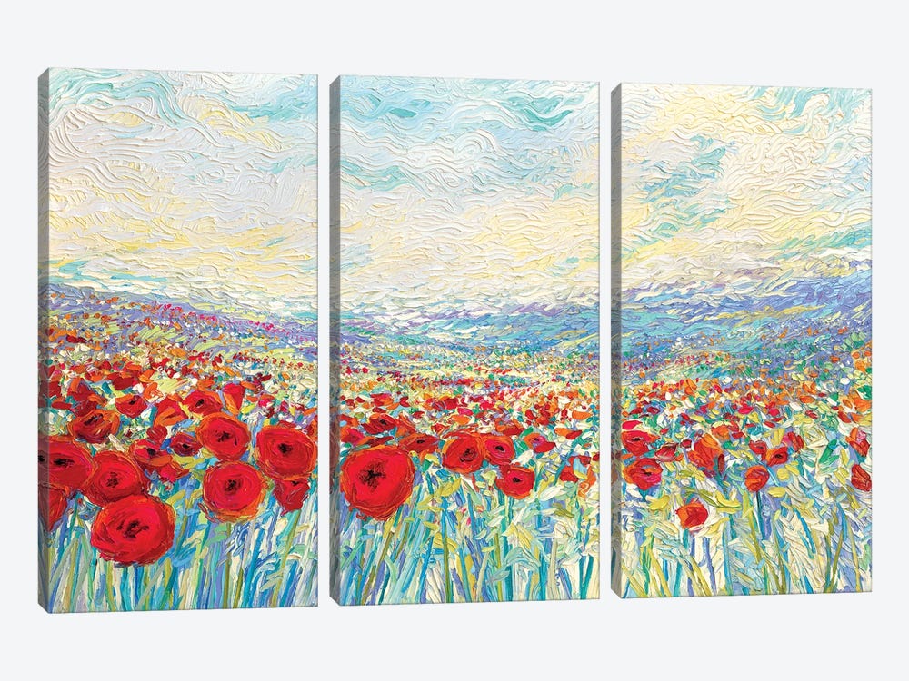 Poppies Of Oz by Iris Scott 3-piece Canvas Print