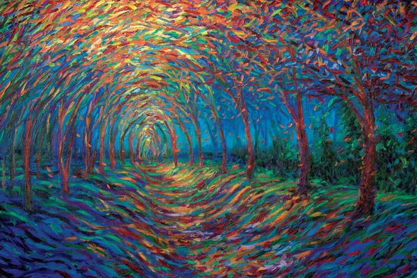 Enchanted Forests: House Of Moon And Trees by Iris Scott