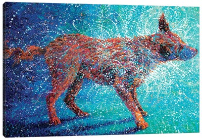 Shakin' Off The Cosmos Canvas Art Print - Labrador Retriever Art