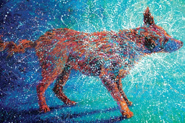 Labrador Retrievers: Shakin' Off The Cosmos by Iris Scott