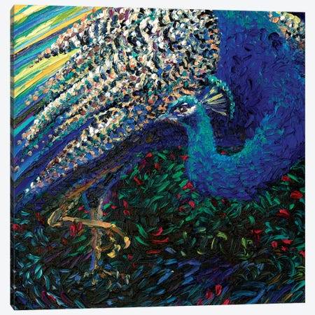 Black Peacock Diptych Panel II Canvas Print #IRS150} by Iris Scott Canvas Artwork