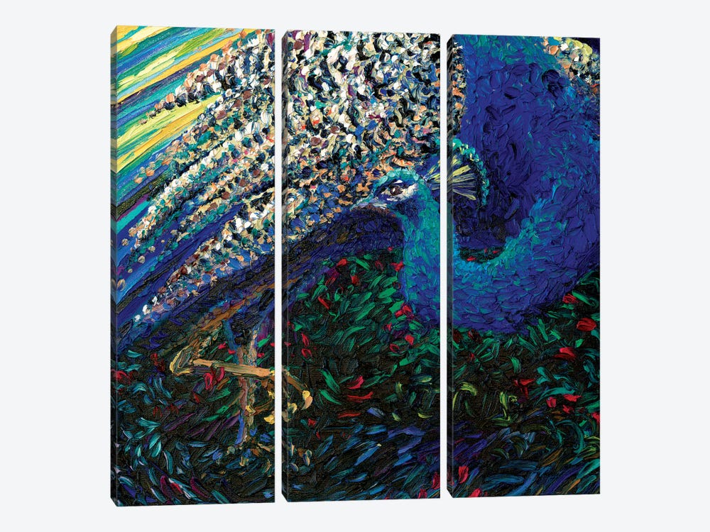 Black Peacock Diptych Panel II by Iris Scott 3-piece Canvas Artwork