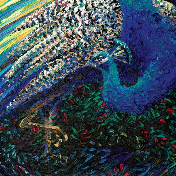 Peacocks: Black Peacock Diptych Panel II by Iris Scott