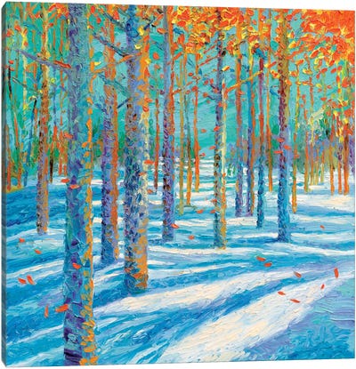 Frosted Fall Canvas Art Print - Colorful Arctic