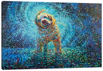 Labrador Jazz Canvas Art Print - Animal Art