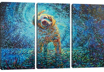 Labrador Jazz Canvas Art Print - 3-Piece Animal Art