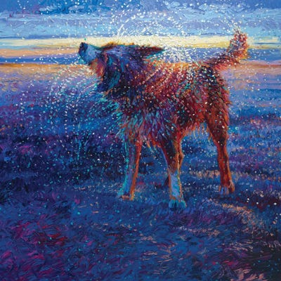 Coastal Canine by Iris Scott art print