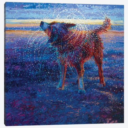 Coastal Canine Canvas Print #IRS164} by Iris Scott Canvas Artwork