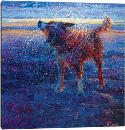 Coastal Canine Canvas Art Print - Iris Scott